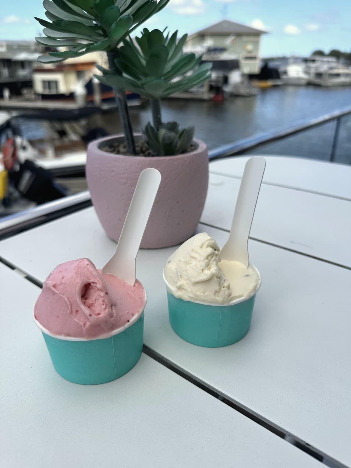 Fresh gelato at Noosa Gelato House